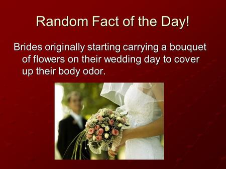 Random Fact of the Day! Brides originally starting carrying a bouquet of flowers on their wedding day to cover up their body odor.