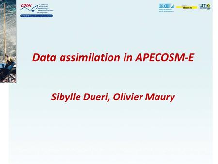 Data assimilation in APECOSM-E Sibylle Dueri, Olivier Maury