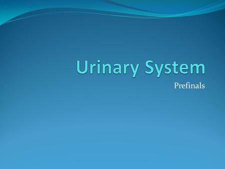 Urinary System Prefinals.