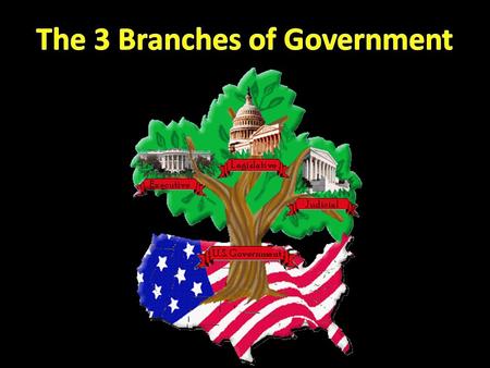 What do you mean, branches? Under the US Constitution, the responsibilities of government are split between three separate and equal branches.
