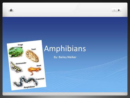 Amphibians By: Bailey Walker. Key Characteristics Unshelled eggs Permeable skin Carnivorous adults Cold blooded 3 chambered hearts.