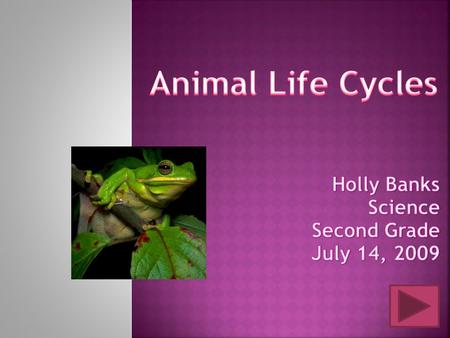 END SHOW Content Posttest Credits Simple Life Cycle Born Alive Baby Adult Aging and Death  ts/orca_712.html.