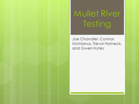 Mullet River Testing Joe Chandler, Connor McManus, Trevor Horneck, and Gwen Nytes.