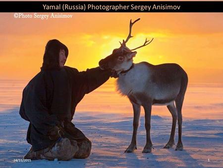Yamal (Russia) Photographer Sergey Anisimov