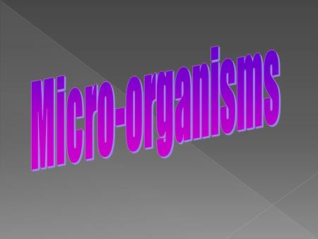 Micro-organisms.
