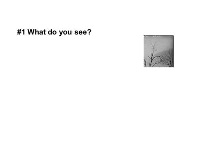 #1 What do you see?. #2 What do you see? #3 What do you see?