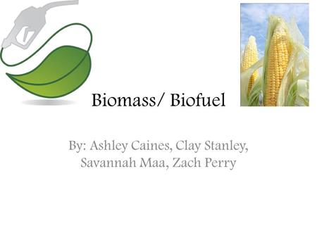 Biomass/ Biofuel By: Ashley Caines, Clay Stanley, Savannah Maa, Zach Perry.