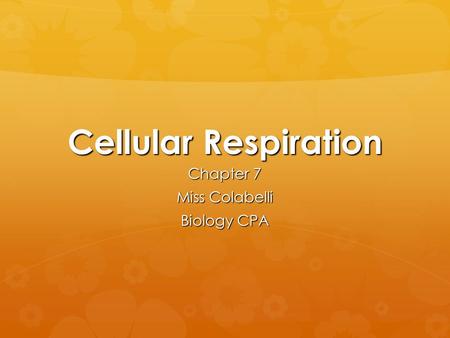 Cellular Respiration Chapter 7 Miss Colabelli Biology CPA.