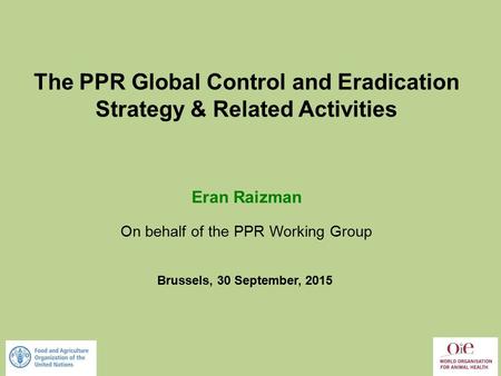 The PPR Global Control and Eradication Strategy & Related Activities