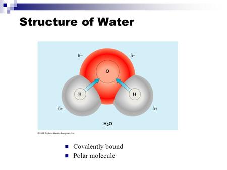 Structure of Water Covalently bound Polar molecule.