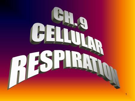 CH. 9 CELLULAR RESPIRATION.