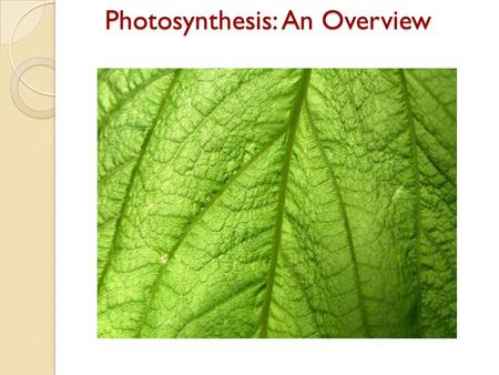 Photosynthesis: An Overview.  The key cellular process identified with energy production is photosynthesis.  Photosynthesis is the process in which.