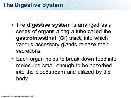Copyright © 2009 Pearson Education, Inc. The Digestive System  The digestive system is arranged as a series of organs along a tube called the gastrointestinal.