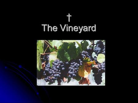 † The Vineyard. King Solomon was an example of kindhearted and wise king… King Solomon was an example of kindhearted and wise king… King Ahab, however,