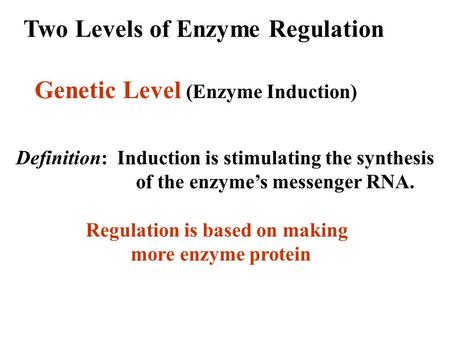 Two Levels of Enzyme Regulation
