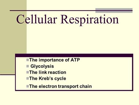 Cellular Respiration The importance of ATP Glycolysis The link reaction The Kreb’s cycle The electron transport chain.
