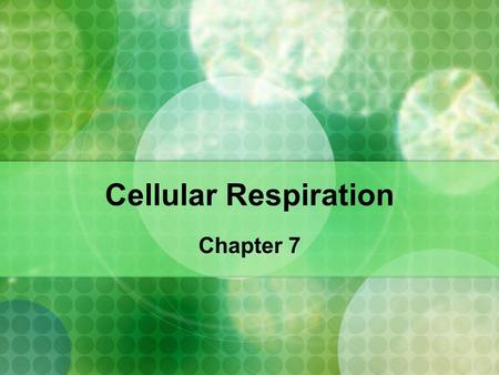 Cellular Respiration Chapter 7. Cellular Respiration Glycolysis and Fermentation Aerobic Respiration.
