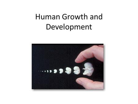Human Growth and Development. Zygote When a sperm carrying ______ the necessary DNA combines with an egg containing _____ the necessary DNA combine a.