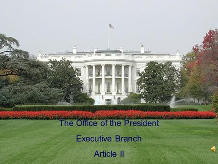 The Office of the President Executive Branch Article II.