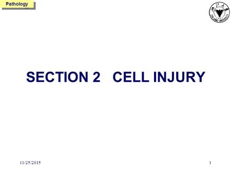 Pathology 11/25/20151 SECTION 2 CELL INJURY. Pathology 11/25/20152  Reversible  Irreversible Cellular Swelling Fatty Change Hyaline Change Amyloid Change.