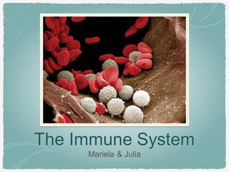 The Immune System Mariela & Julia.