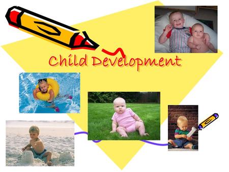 Child Development. Why Study Child Development?? The Top TEN Reasons 1.You will learn about the person you are. 2. You will learn about the child you.