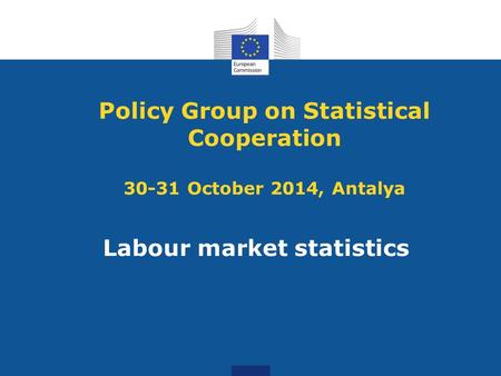 Policy Group on Statistical Cooperation 30-31 October 2014, Antalya Labour market statistics.