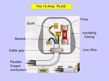The 13 Amp PLUG Fuse Insulating Casing Live Wire Neutral Cable grip Flexible Copper conductors Earth.