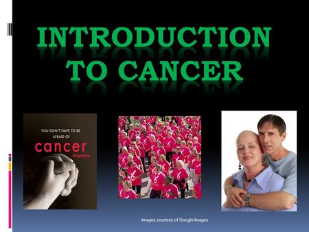Images courtesy of Google Images. What are the most common types of cancer? The most common type of cancer is: Skin Cancer!