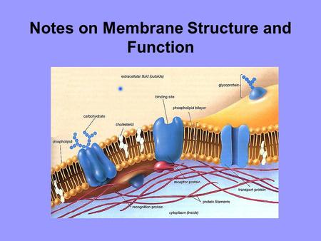 Notes on Membrane Structure and Function