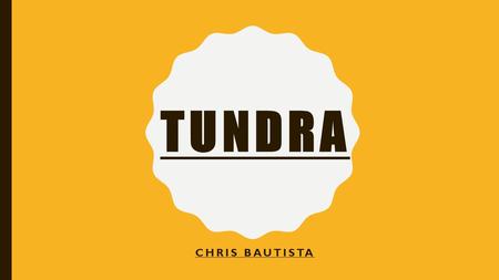 TUNDRA CHRIS BAUTISTA. TUNDRA MEANS MARSHY PLAIN. THE GEOGRAPHICAL DISTRIBUTION OF THE TUNDRA BIOME IS LARGELY POLEWARD OF 60° NORTH LATITUDE. THE TUNDRA.