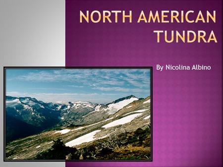 By Nicolina Albino.  The Tundra is located in the northern hemisphere of the world, in Alaska, Canada and parts of Greenland.