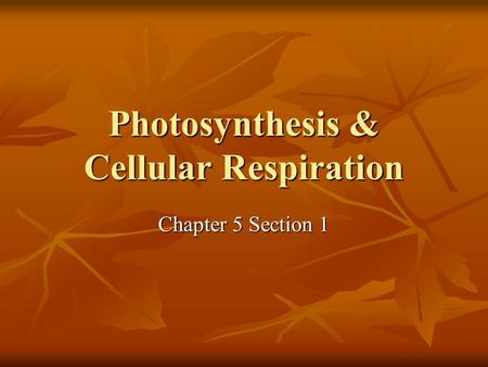 Photosynthesis & Cellular Respiration Chapter 5 Section 1.