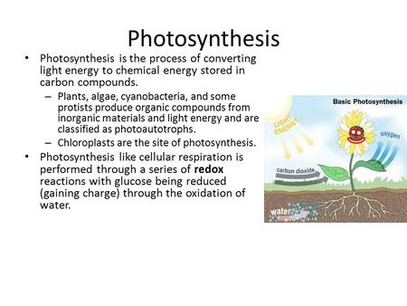 Photosynthesis Photosynthesis is the process of converting light energy to chemical energy stored in carbon compounds. – Plants, algae, cyanobacteria,
