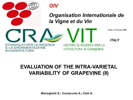 Meneghetti S.; Costacurta A.; Calò A. EVALUATION OF THE INTRA-VARIETAL VARIABILITY OF GRAPEVINE (II) OIV Organisation Internationale de la Vigne et du.