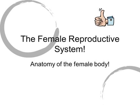 The Female Reproductive System! Anatomy of the female body!