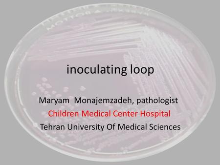 inoculating loop Maryam Monajemzadeh, pathologist