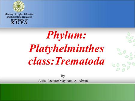 Phylum: Platyhelminthes class:Trematoda
