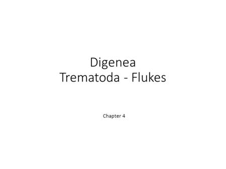 Digenea Trematoda - Flukes