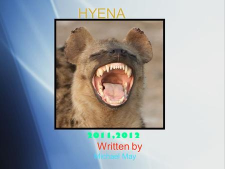 HYENA Written by Michael May 2011,2012. Protect ion  The hyena has big strong teeth to protect itself.  It hunts at night so it’s enemies don’t see.