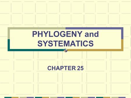 PHYLOGENY and SYSTEMATICS CHAPTER 25. VOCABULARY Phylogeny – evolutionary history of a species or related species Systematics – study of biological diversity.