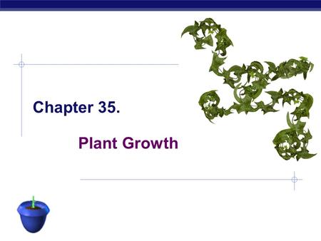 AP Biology Plant Growth Chapter 35. AP Biology Indeterminate growth  Unlike animals most plants grow throughout their life  annuals  life cycle within.