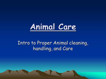 Animal Care Intro to Proper Animal cleaning, handling, and Care.