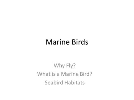 Why Fly? What is a Marine Bird? Seabird Habitats