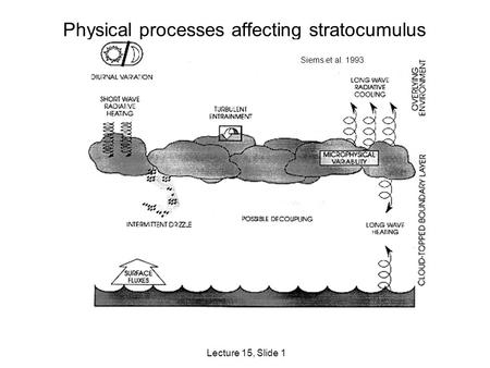 Lecture 15, Slide 1 Physical processes affecting stratocumulus Siems et al. 1993.