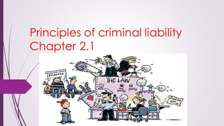 Principles of criminal liability Chapter 2.1