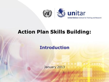 Action Plan Skills Building: Introduction January 2013.