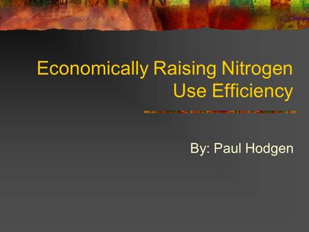 Economically Raising Nitrogen Use Efficiency By: Paul Hodgen.