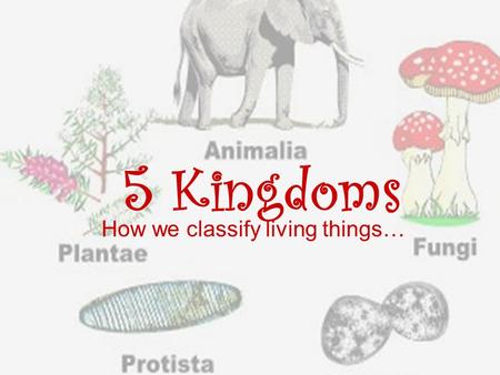 5 Kingdoms How we classify living things…. Review Terms Heterotrophic- must find it’s food Autotrophic- makes it’s own food New Terms to be learned *