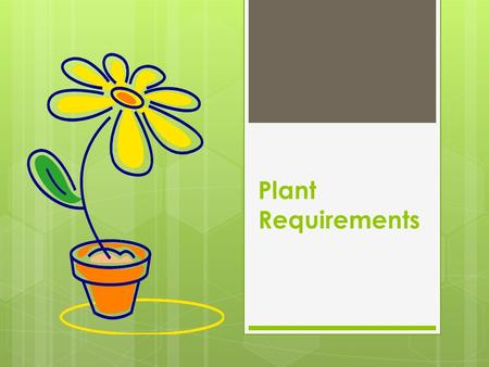 Plant Requirements. Plant Needs  Photosynthesis  Light  Air  Water  Growing Media.